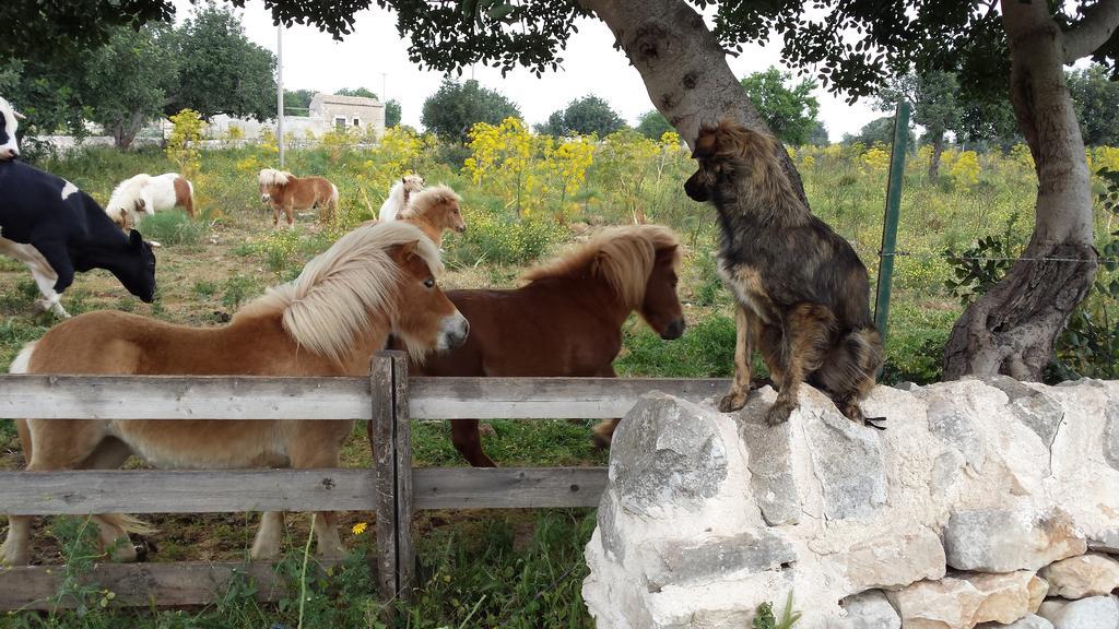 Masseria Boscorotondo Villa Scicli Eksteriør billede